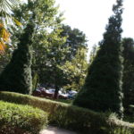 foto 022