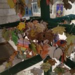 IMG_20191122_095606