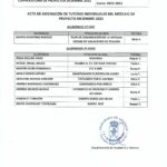 Asignación Tutores Individuales